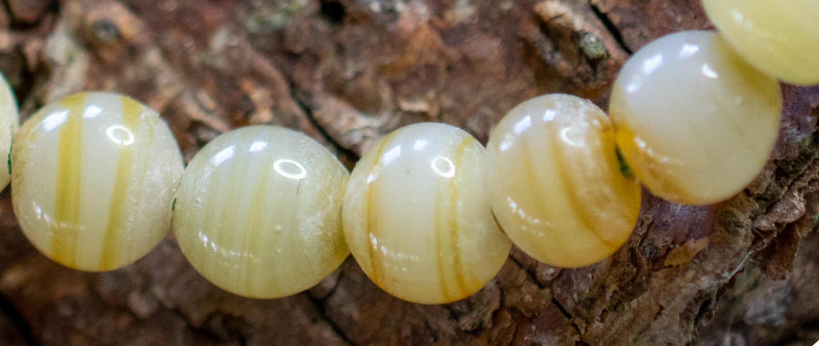 38 Handgearbeitete Muranoglasperlen in gelb mit brauner Verzierung Ø 6,5mm